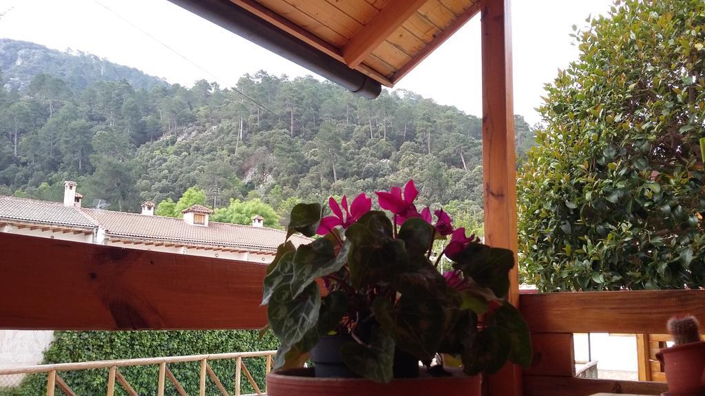 Cabanas De Madera El Rinconcillo أرويو فريو المظهر الخارجي الصورة