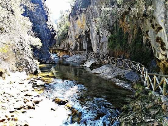 Cabanas De Madera El Rinconcillo أرويو فريو المظهر الخارجي الصورة