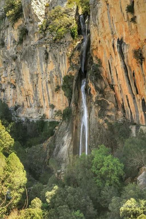 Cabanas De Madera El Rinconcillo أرويو فريو المظهر الخارجي الصورة